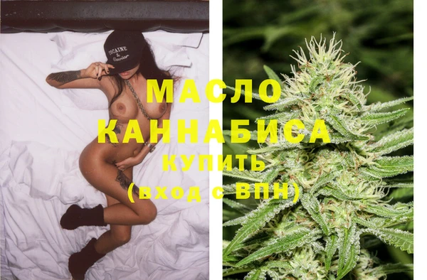 индика Аркадак