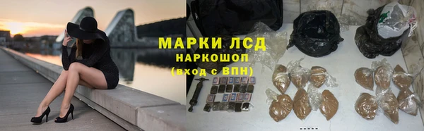 индика Аркадак
