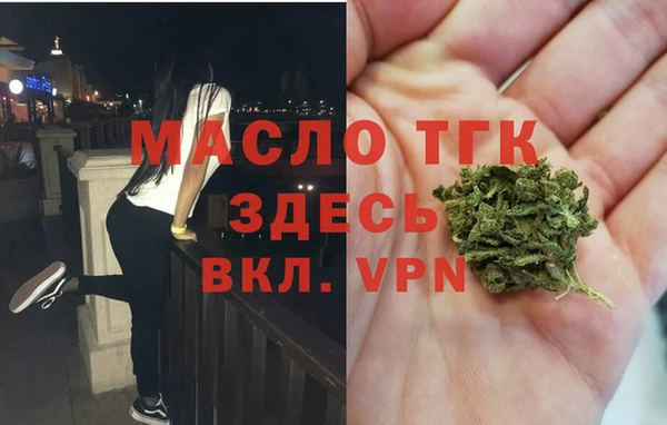 индика Аркадак